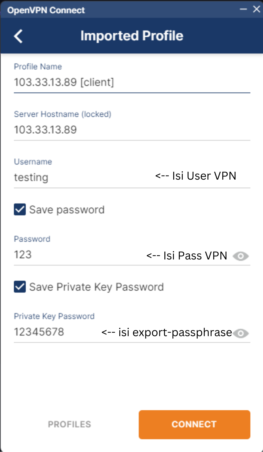 OpenVPN Client